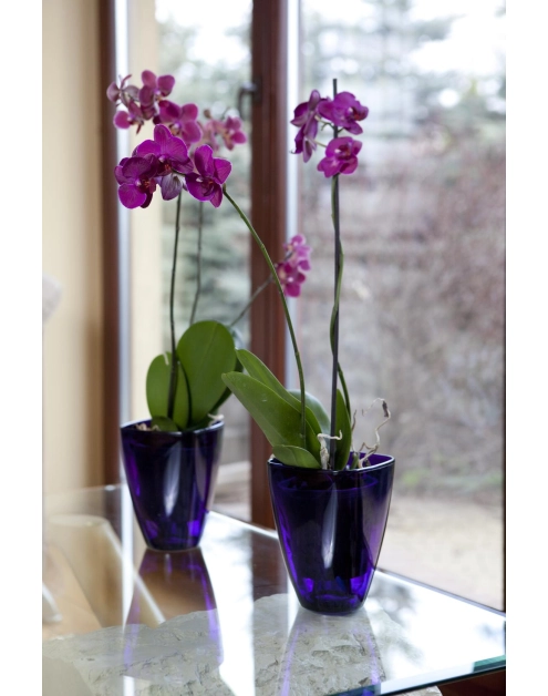 Zdjęcie: Osłonka storczykowa 12 cm fioletowy VERDENIA