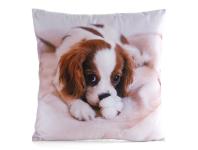 Zdjęcie: Poszewka Animal 78 biała 45 x 45 cm Mink EUROFIRANY