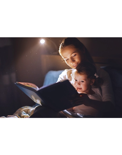 Zdjęcie: Źródło światła IQ-LED C37E14 4,2W-NW KANLUX