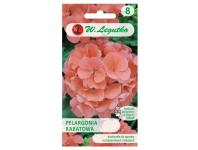 Zdjęcie: Pelargonia rabatowa Gama F1 łososiowa 0,05 g W.LEGUTKO