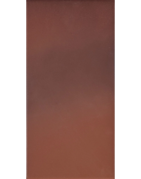 Zdjęcie: Płytka podłogowa Country Wiśnia 30x14,8 cm CERRAD