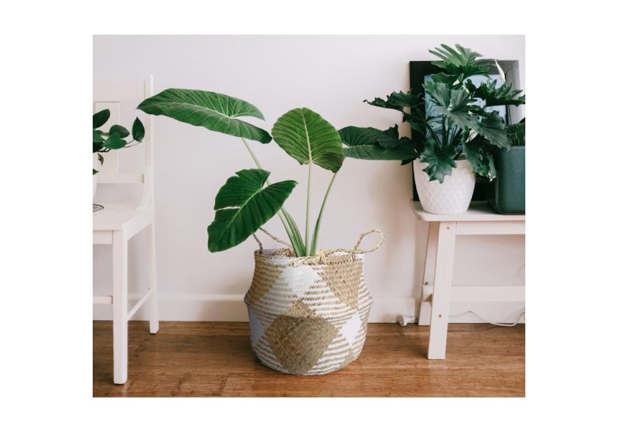 Zdjęcie: Koszyk z trawy morskiej z uchwytami 32x32x30/40 cm TIN TOURS