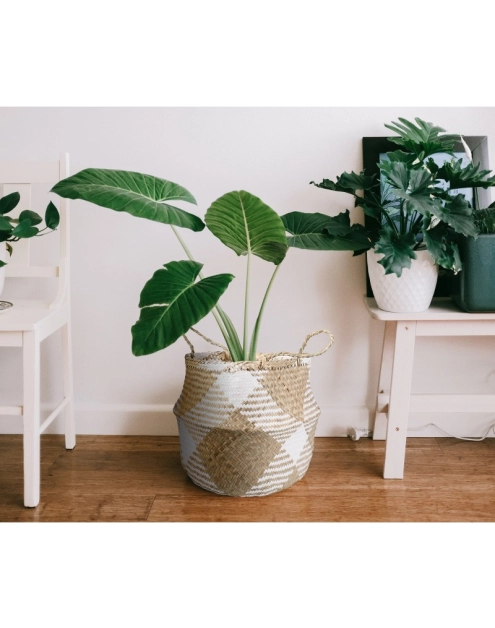 Zdjęcie: Koszyk z trawy morskiej z uchwytami 32x32x30/40 cm TIN TOURS