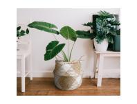 Zdjęcie: Koszyk z trawy morskiej z uchwytami 32x32x30/40 cm TIN TOURS