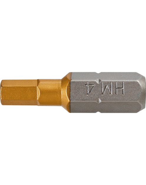 Zdjęcie: Końcówki wkrętakowe HEX4.0 x 25 mm, 2 sztuki GRAPHITE