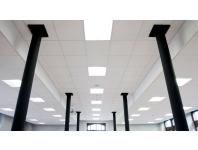 Zdjęcie: Płyta ze skalnej wełny mineralnej Pacific 600x600x12 mm ROCKFON