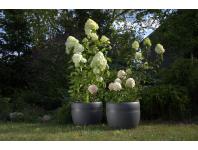 Zdjęcie: Donica Koma classic 330, antracyt LAMELA