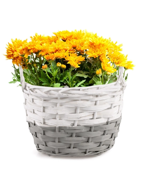 Zdjęcie: Koszyk z uchwytami do obsadzania kwiatów z folią 23x19x17/21 cm TIN TOURS