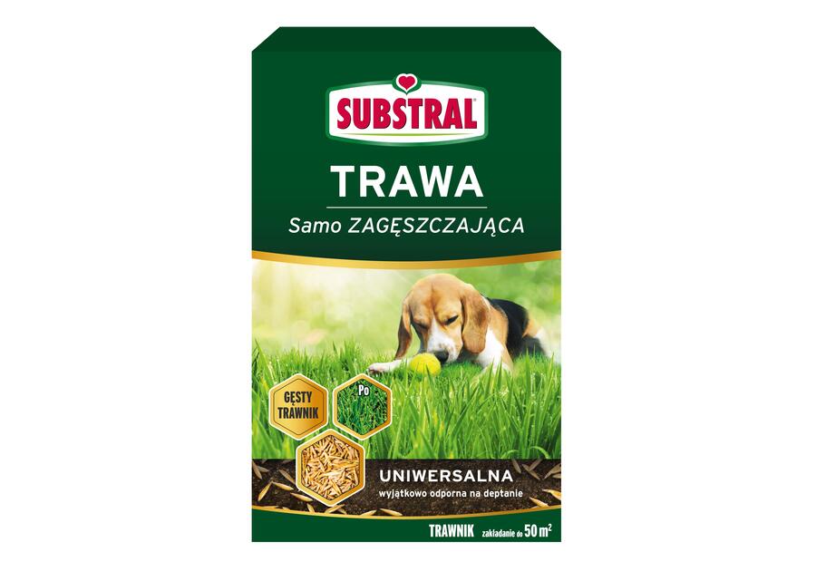 Zdjęcie: Trawa uniwersalna 1 kg SUBSTRAL