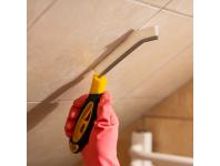 Zdjęcie: Szczotka Fuger ERLA