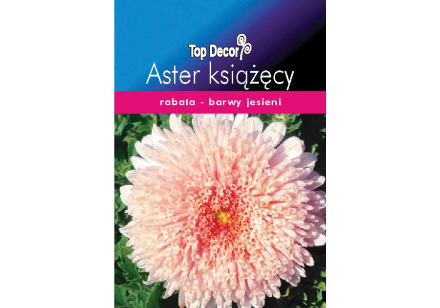 Zdjęcie: Aster książęcy TOP DECOR