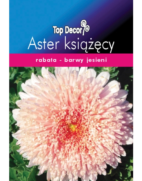Zdjęcie: Aster książęcy TOP DECOR
