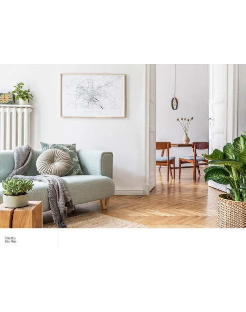 Zdjęcie: Farba EKO plus 10L ŚNIEŻKA