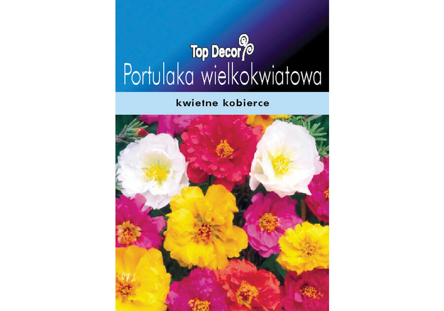 Zdjęcie: Portulaka wielkokwiatowa TOP DECOR