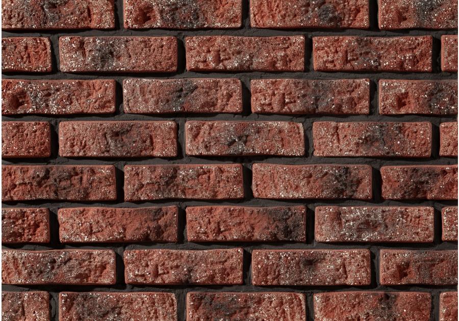 Zdjęcie: Płytki Rustik 540 STEGU