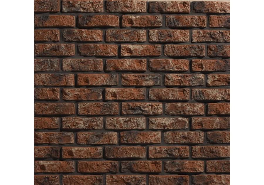 Zdjęcie: Płytki Rustik 540 STEGU