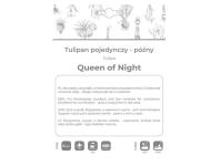 Zdjęcie: Tulipan Queen of Night bordowy 4 sztuki W.LEGUTKO