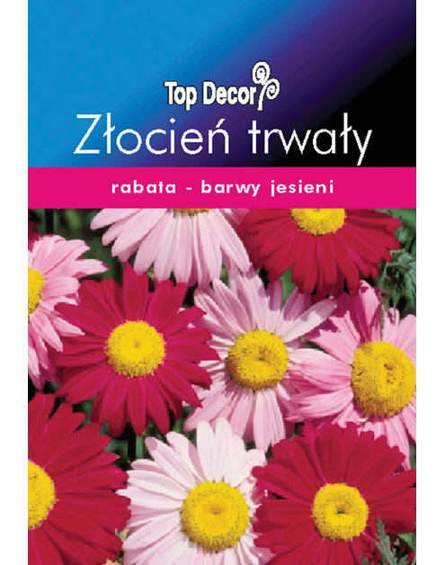 Zdjęcie: Złocień trwały TOP DECOR