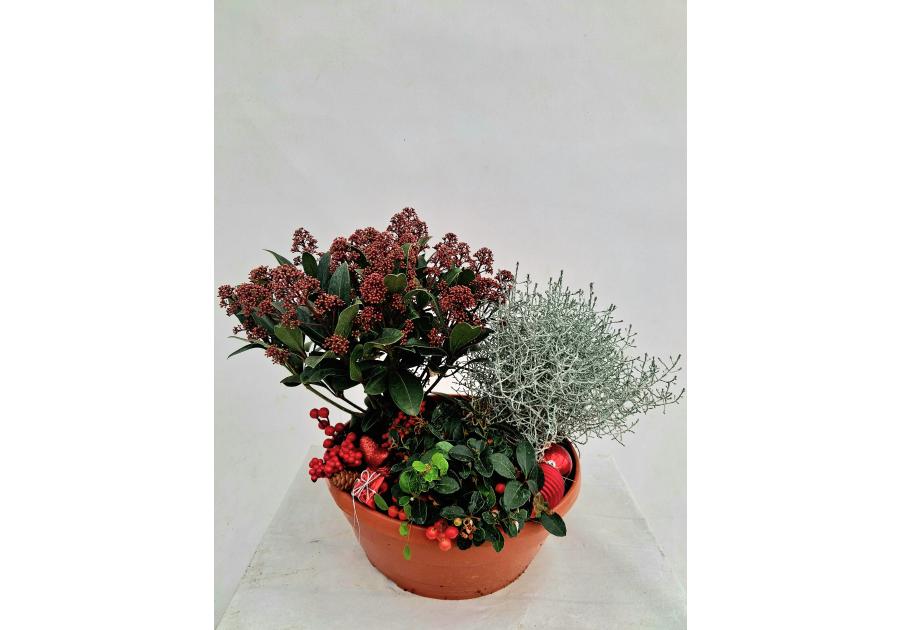 Zdjęcie: Misa dekoracyjna świąteczna 32 cm ŁAZUCCY