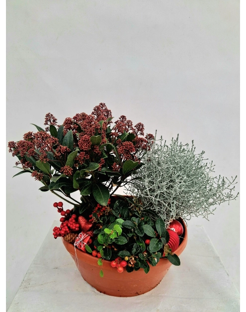 Zdjęcie: Misa dekoracyjna świąteczna 32 cm ŁAZUCCY