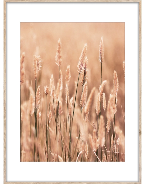 Zdjęcie: Obraz Artbox Digi 50x70 cm Grasses II STYLER