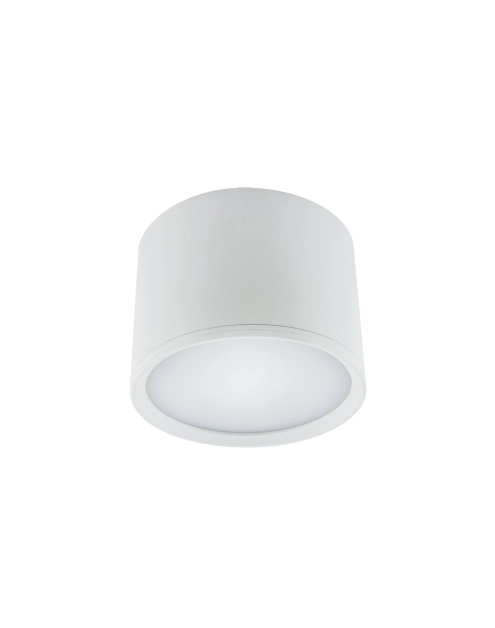 Zdjęcie: Oprawa sufitowa SMD Rolen Led 7W WHITE kolor biały STRUHM