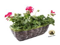 Zdjęcie: Kosz wiklinowy do obsadzania kwiatami 40x16x13h cm TIN TOURS