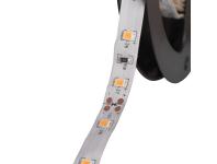 Zdjęcie: Taśma LEDS-B 4,8 W/m IP65 WW KANLUX