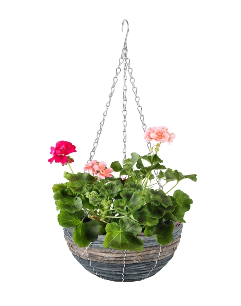 Zdjęcie: Kosz wiszący HL077762 TIN TOURS