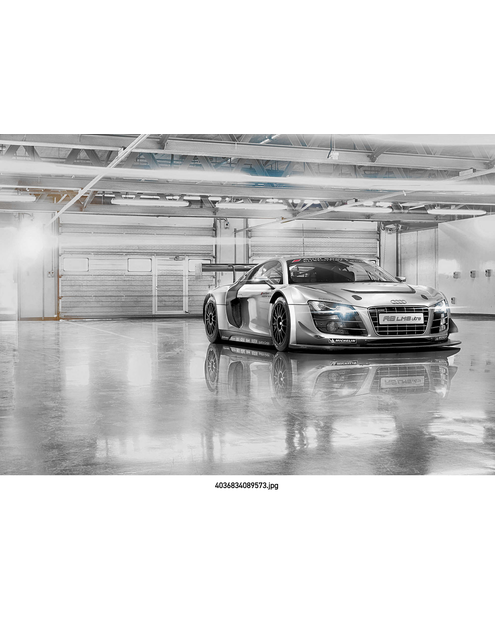 Zdjęcie: Fototapeta Audi R8 Le Mans VENA