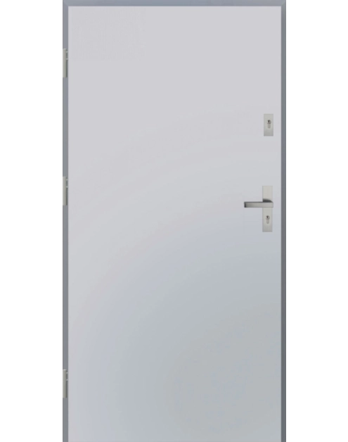 Zdjęcie: Drzwi zewnętrzne stalowo-drewniane Disting Otello 01 Biały 90 cm lewe KR CENTER