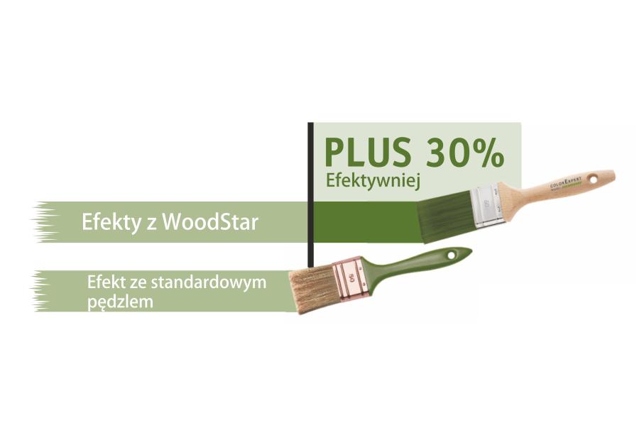 Zdjęcie: Pędzel płaski 80 mm S9 WoodStar COLOR EXPERT