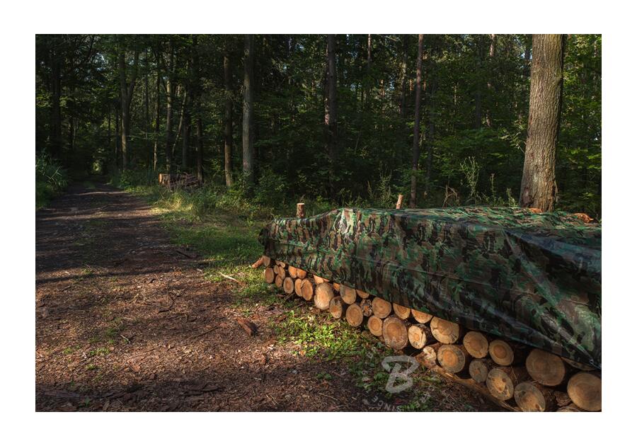 Zdjęcie: Plandeka kamuflażowa Camoforest 4 x 5 m, 90 g BRADAS