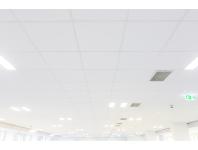 Zdjęcie: Płyta sufitowa Ecomin Alpha Board 600x600x15 mm KCS