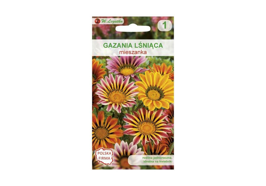 Zdjęcie: Gazania lśniąca mieszanka nasiona tradycyjne 0.2 g W. LEGUTKO