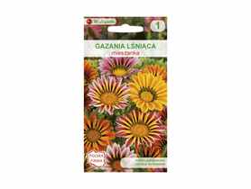 Gazania lśniąca mieszanka nasiona tradycyjne 0.2 g W. LEGUTKO
