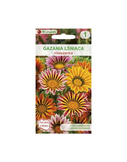 Zdjęcie: Gazania lśniąca mieszanka nasiona tradycyjne 0.2 g W. LEGUTKO