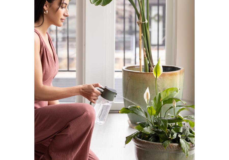 Zdjęcie: Karafka szklana do spryskiwania i podlewania roślin Plant Care FISKARS