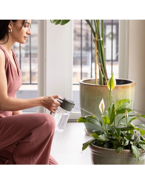 Zdjęcie: Karafka szklana do spryskiwania i podlewania roślin Plant Care FISKARS