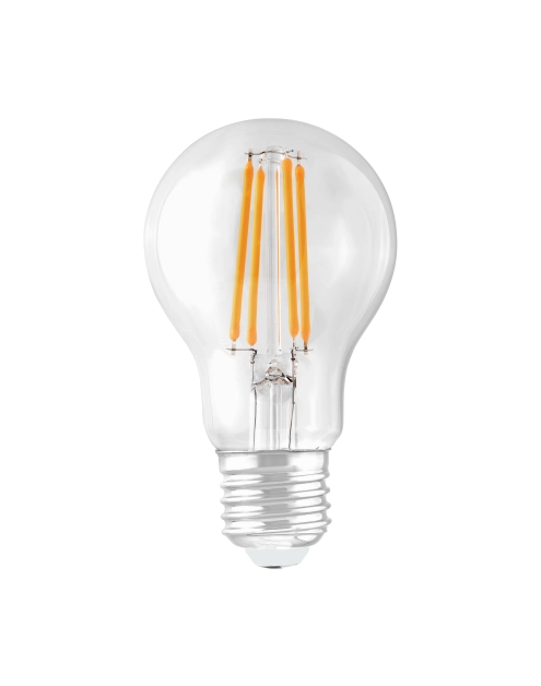 Zdjęcie: Lampa Filament Erste LED E27 8 W WW barwa ciepłobiała STRUHM