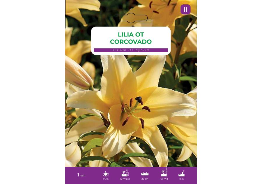Zdjęcie: Lilia Corcovado LEGUTKO
