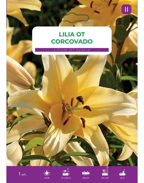 Zdjęcie: Lilia Corcovado LEGUTKO