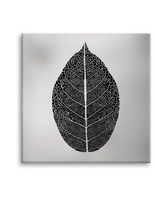 Zdjęcie: Obraz Canvas Silver1 65x65x1,8 cm Ex520 Silver Leaf STYLER