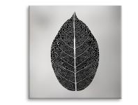 Zdjęcie: Obraz Canvas Silver1 65x65x1,8 cm Ex520 Silver Leaf STYLER