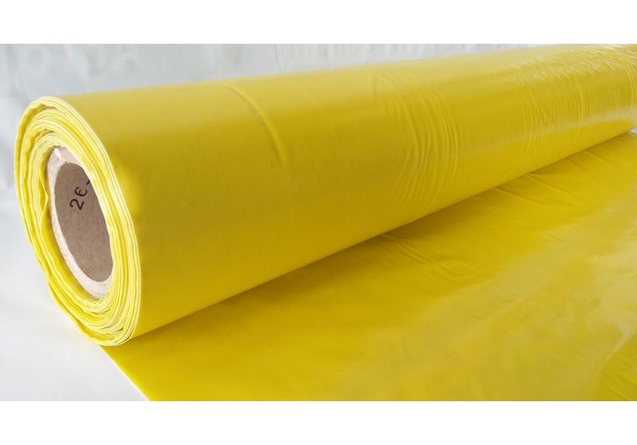 Zdjęcie: Folia paroizolacyjna INPAR 200 2x50 DEKTRA