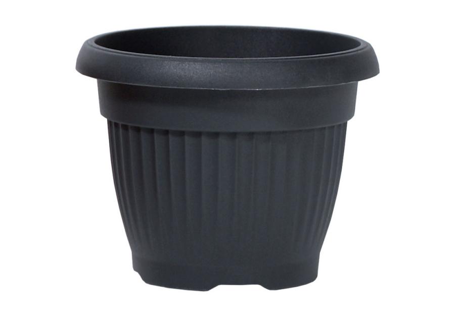 Zdjęcie: Doniczka Terra Nova antracyt 11 cm PROSPERPLAST