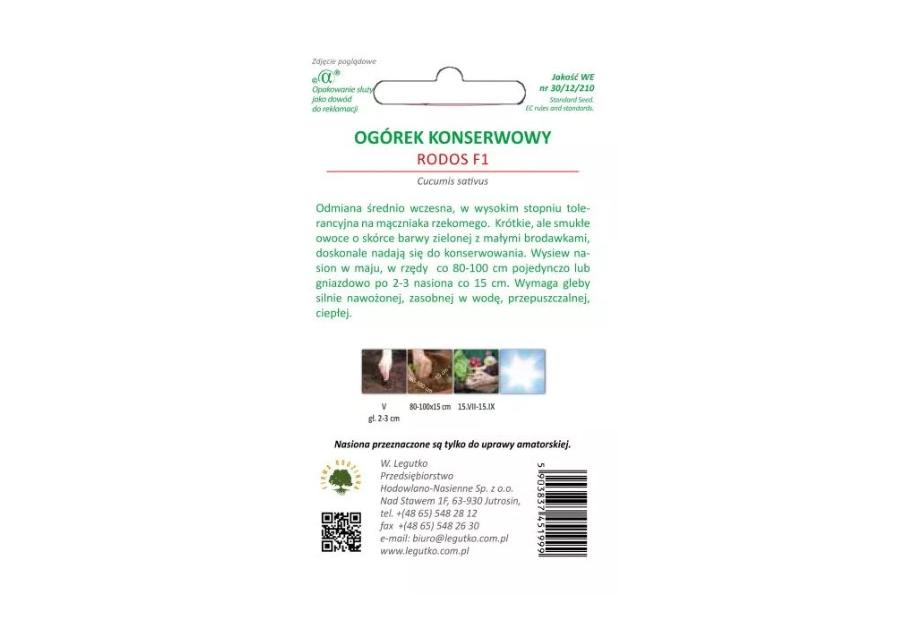 Zdjęcie: Ogórek konserwowy Rodos F1 W.LEGUTKO
