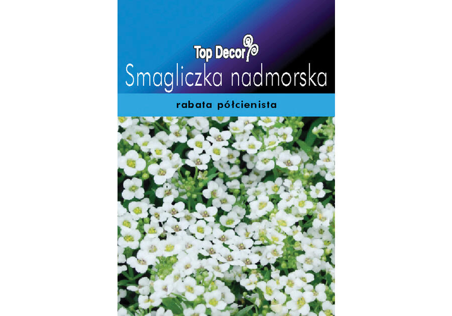 Zdjęcie: Smagliczka nadmorska TOP DECOR