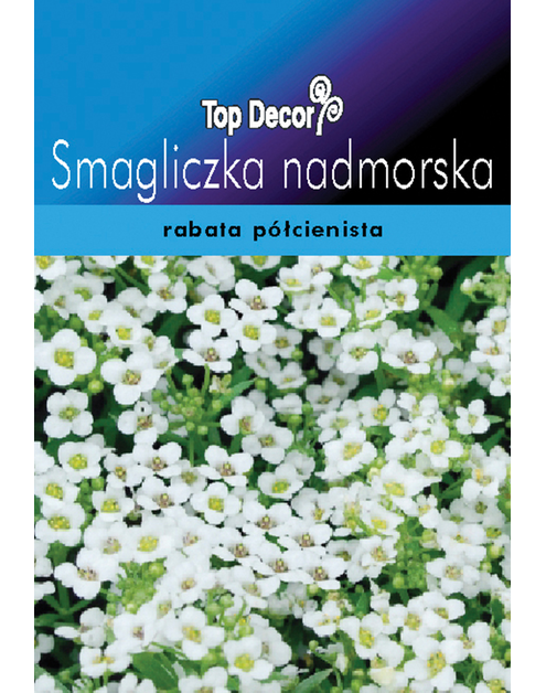 Zdjęcie: Smagliczka nadmorska TOP DECOR