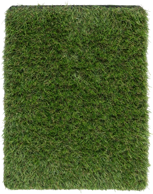 Zdjęcie: Sztuczna trawa Jasmine 4 m, 25 mm MULTI-DECOR